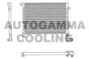 AUTOGAMMA 102631 Condenser, air conditioning